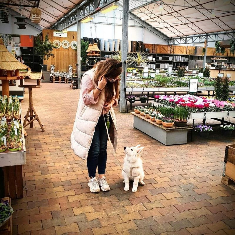 Hempsy – Dog products made from 100% Sustainable Hemp