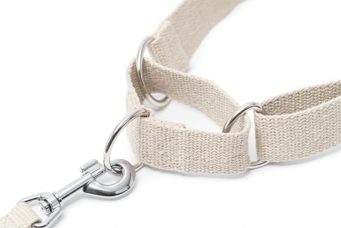 Hempsy – Dog products made from 100% Sustainable Hemp