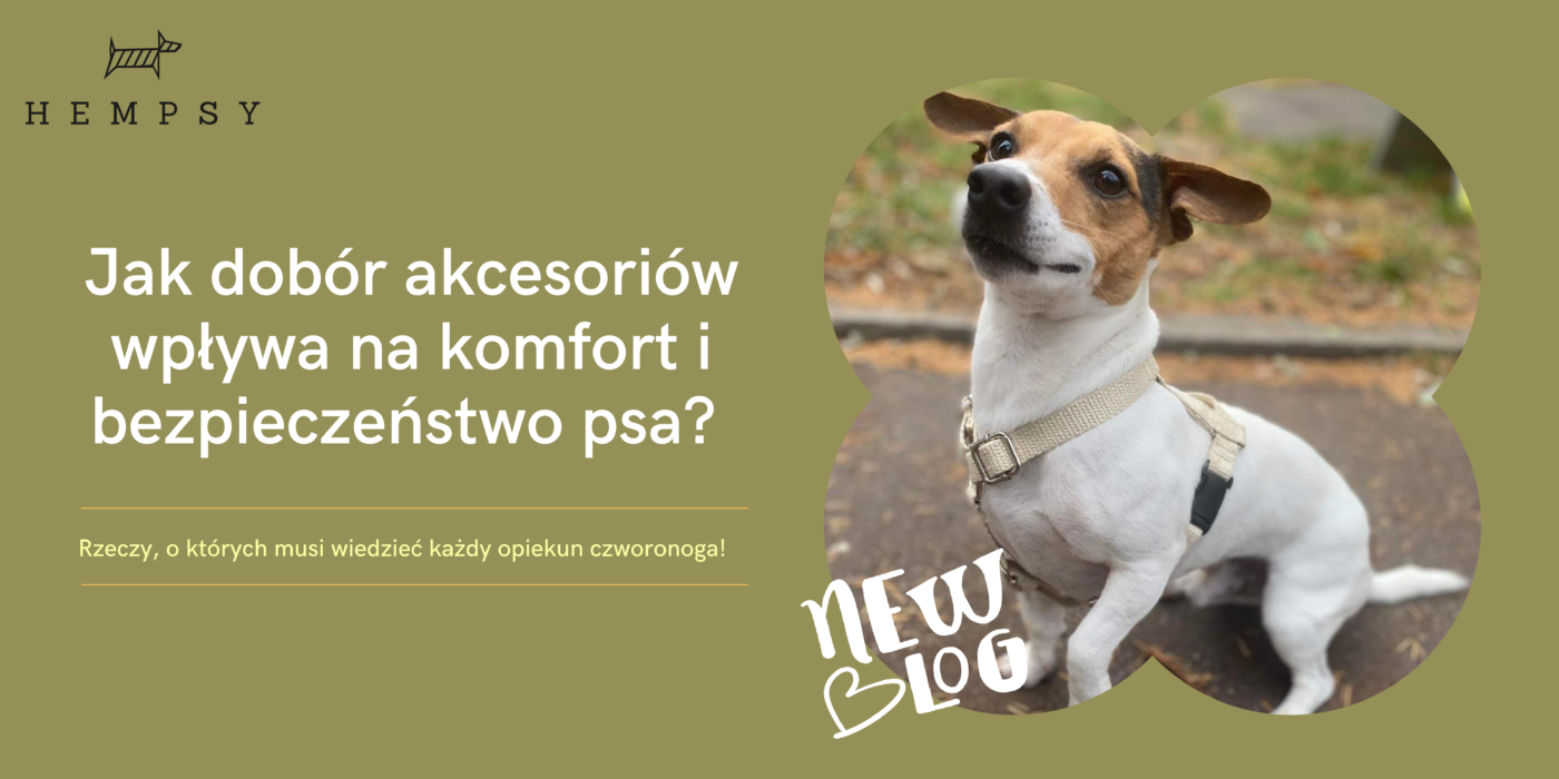 Hempsy – Dog products made from 100% Sustainable Hemp